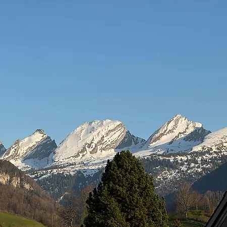 Zwinglis Klaerli